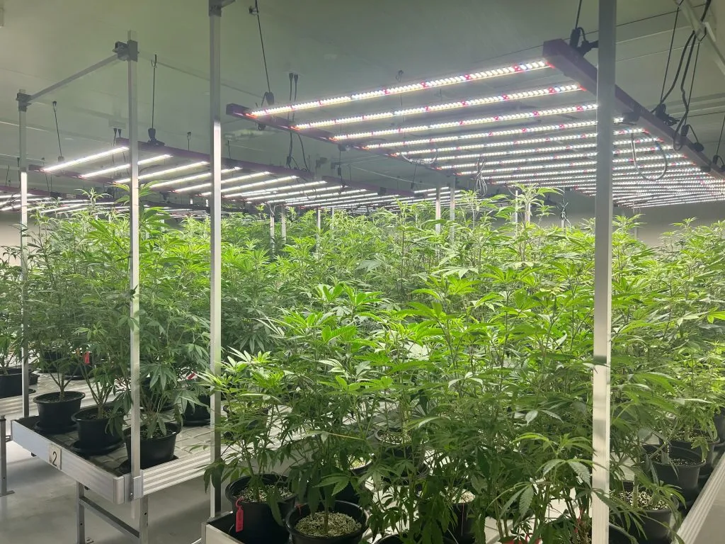 Weedza Military Greenhouse Farm in Thailand
