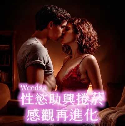 適合情趣感官升級
