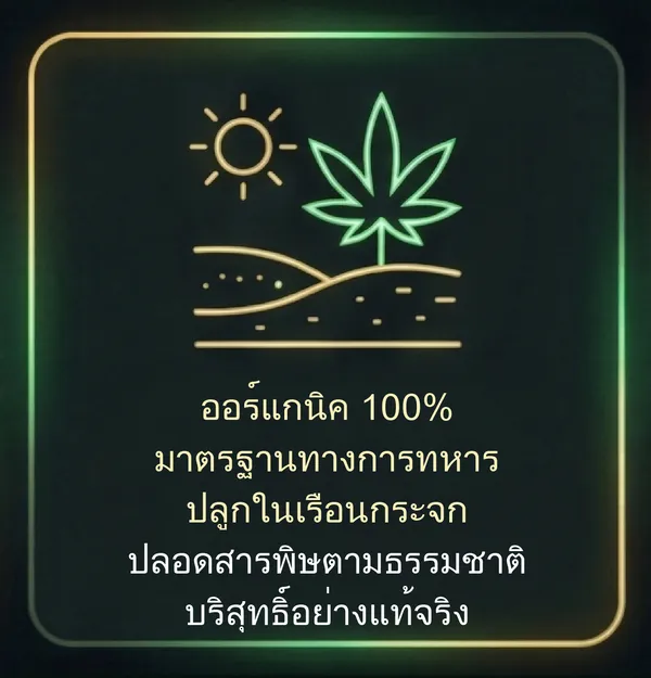 ออร์แกนิก 100% บ่มอย่างเป็นธรรมชาติ